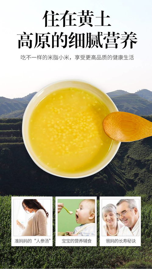 追尋陜北農(nóng)家的記憶 從小米粥端匠心到五谷正能量